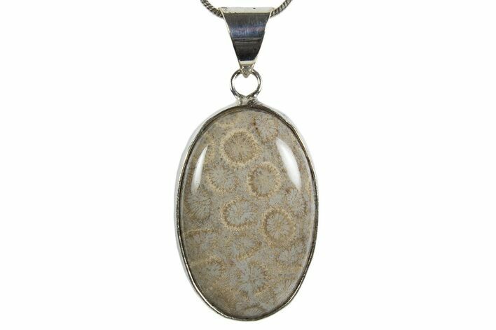 Polished Indonesian Fossil Coral Pendant (Necklace) #345279